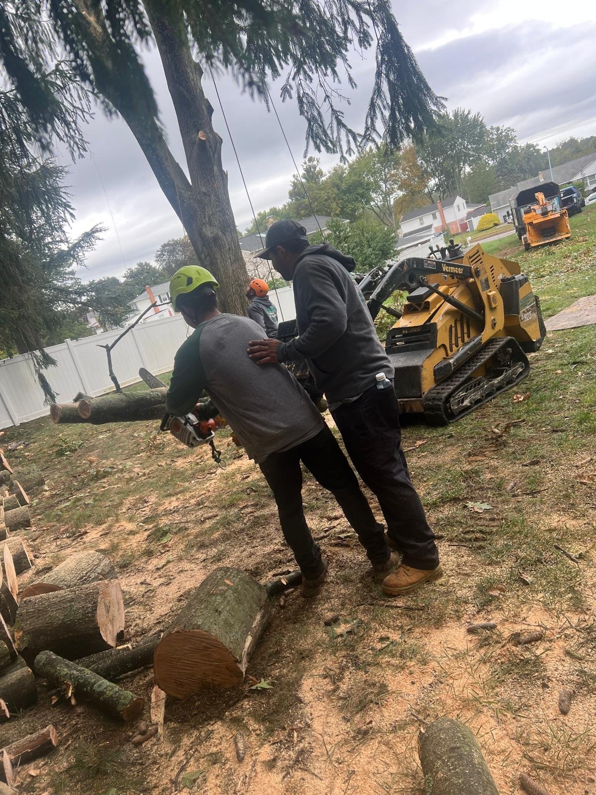 Two workers operate a skid steer loader to process felled logs on a residential site