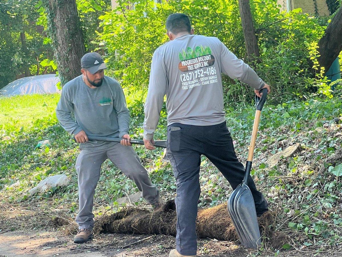 Two workers removing a fallen log from a wooded area
