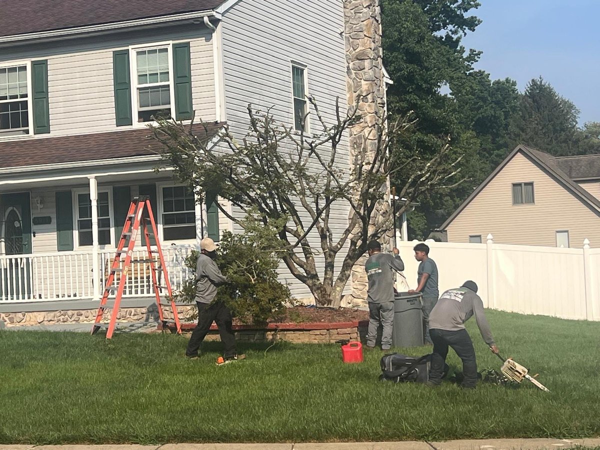 Three members of our crew performing yard maintenance at a residential property